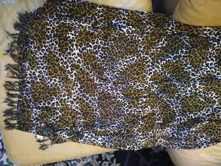 Photo of free Animal Print Hijab Scarf (Tacoma) #1