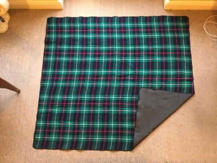 Photo of free Picnic rug (Purley CR8) #1