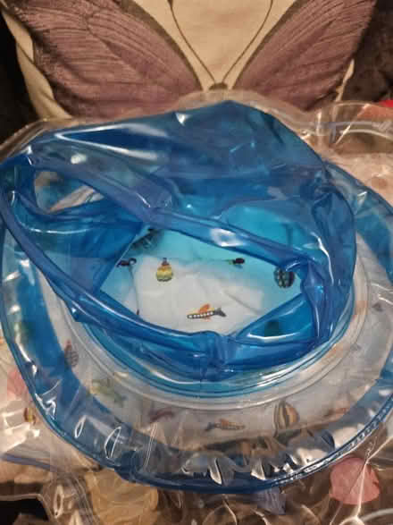 Photo of free Baby swim ring (Ashton in Makerfield WN4) #1