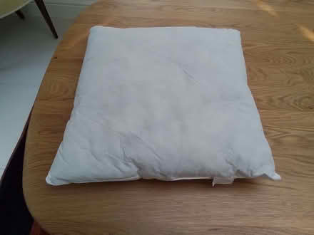Photo of free Cushion pads (Teddington TW11) #1