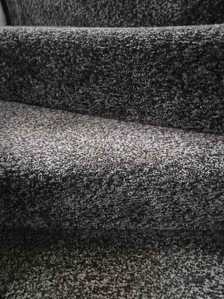 Photo of free Brand new carpet (DH9) #1