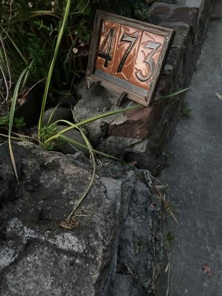 Photo of free Curb alert, 473 Ruby Redwood City (Carmel valley Redwood City) #4