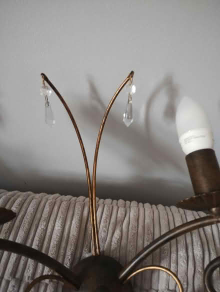 Photo of free Pair of Vintage style wall lights (Olton Solihull) #4