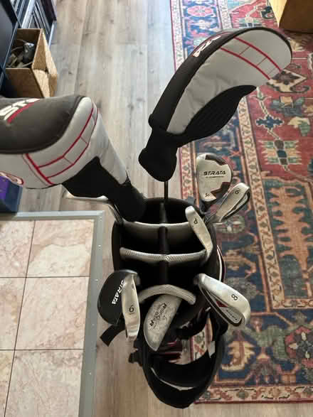 Photo of free Golf Clubs Left Handed (Castro Valley) #2