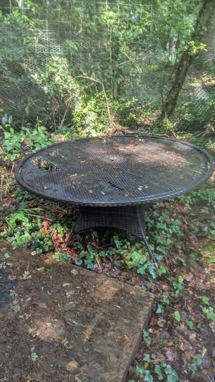 Photo of free Outdoor table (Wickham PO17) #3