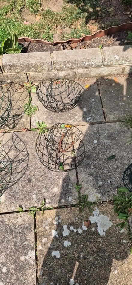 Photo of free hanging baskets (Emmer Green RG4) #1