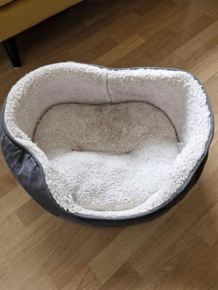 Photo of free Cat/dog bed small (CH42 tranmere) #1