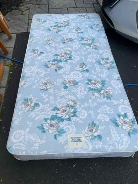 Photo of free Twin bed frame and box spring (Harrison St in Princeton, NJ) #1