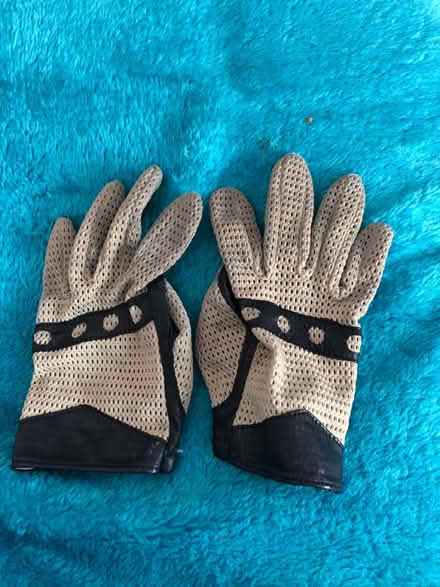 Photo of free Driving Gloves (Westbury Wilts BA13) #1