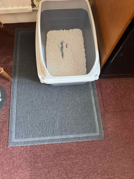 Photo of free Litter mat one (Finsbury Park N4) #1