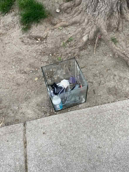 Photo of free Fish stuff (Annex) #1