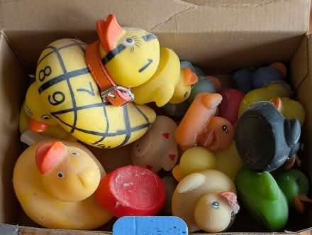 Photo of free Box of dusty ducks (Frenchay BS16) #1