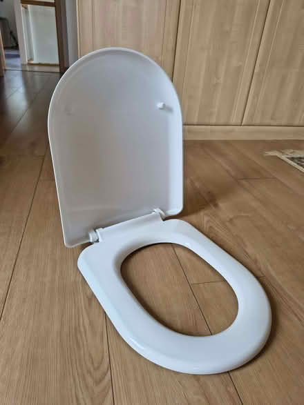 Photo of free Toilet seat (Dean Court OX2) #1