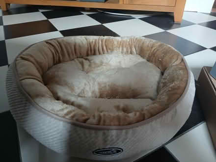 Photo of free Pet Bed (Newhaven EH6) #1