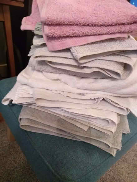Photo of free Clean, used towels (Newent GL18) #1