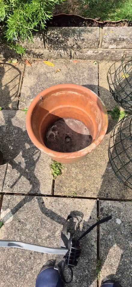 Photo of free terracotta pot (Emmer Green RG4) #1