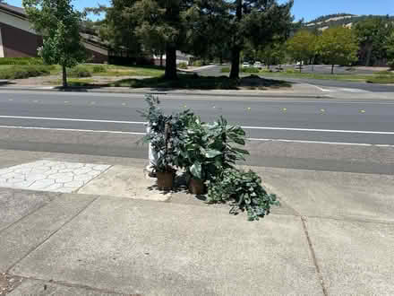 Photo of free 6 artificial plants (Badger Rd and Mormon Church) #1