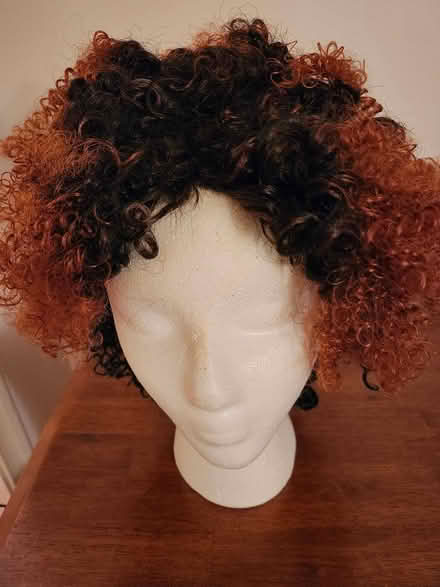 Photo of free brown wig w/ red highlights (SE Washington DC) #1