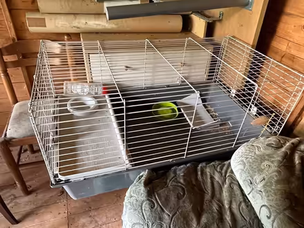 Photo of free Guinea pig cage (Birmingham B28) #1