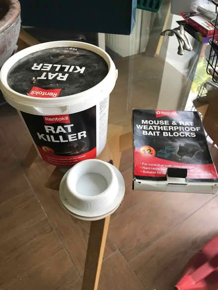 Photo of free Rat control / poison (New England Quarter BN1) #1