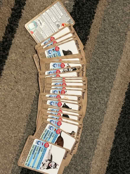Photo of free Dog top trumps (Jennetts park RG12) #3