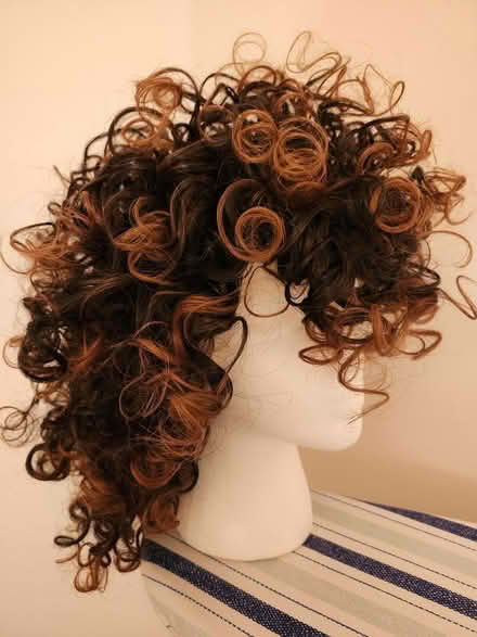 Photo of free brown wig w/ blonde highlights (SE Washington DC) #2