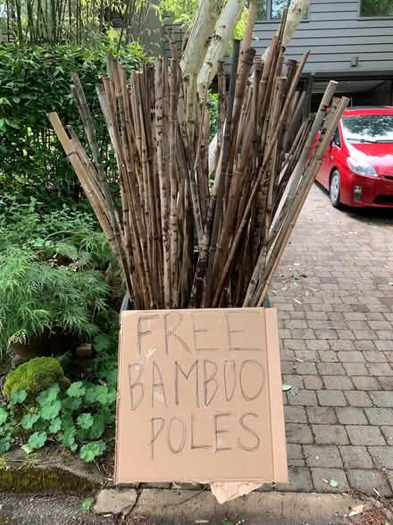 Photo of free Bamboo Poles (Winslow, Bainbridge) #1