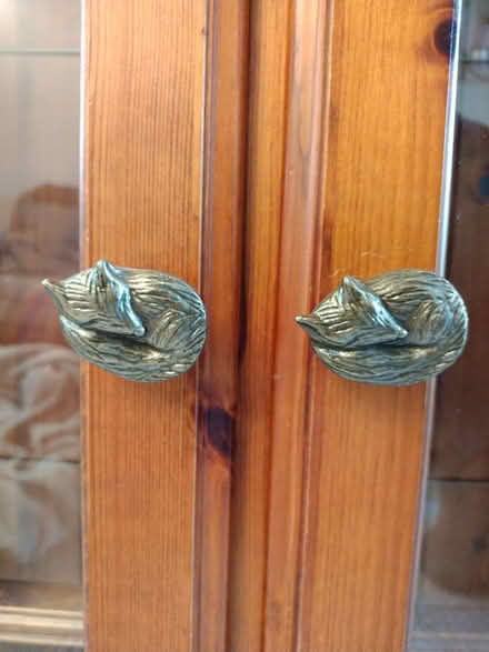 Photo of free Ducal display cabinet (Langley Park, DH7) #2