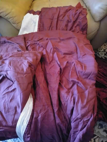 Photo of free Burgundy Curtains (Tacoma) #1