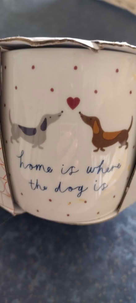 Photo of free Sausage dog mugs (NG10) #2