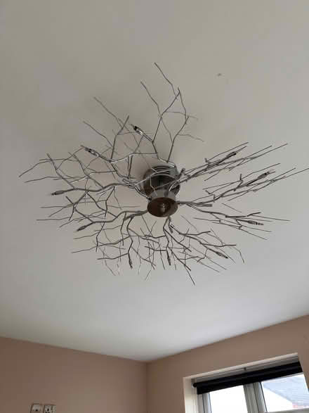 Photo of free Ceiling light (Withington HR1) #2