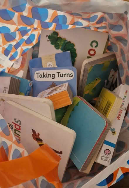 Photo of free Bag of board books (Shrewsbury) #1