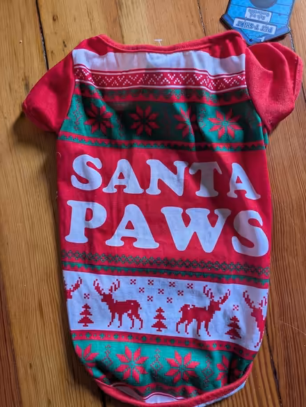 Photo of free Dog outfit (East Somerville) #1