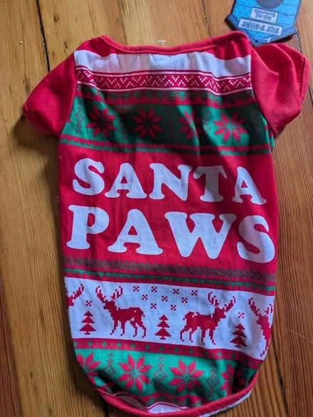 Photo of free Dog outfit (East Somerville) #1
