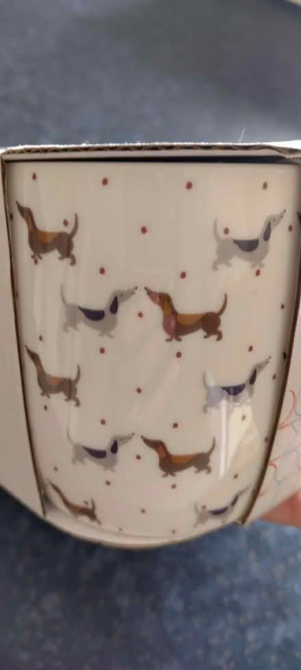 Photo of free Sausage dog mugs (NG10) #3
