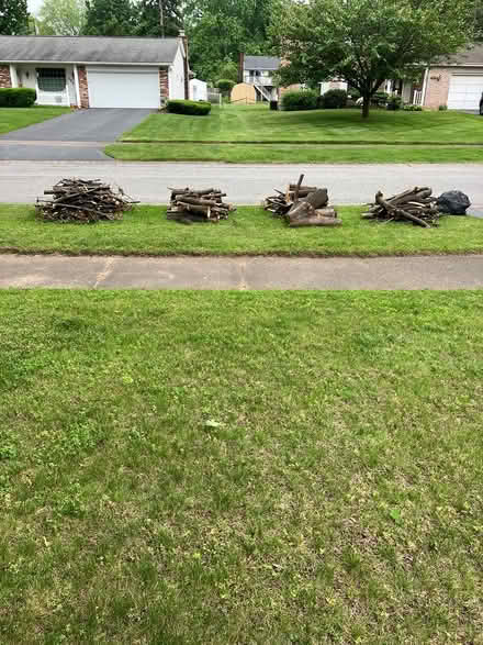 Photo of free Wood-curb alert (Greece) #1