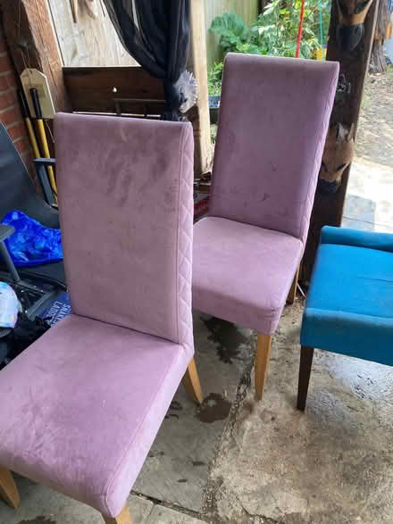 Photo of free Dining chairs x2 (Greater Leys OX4) #1
