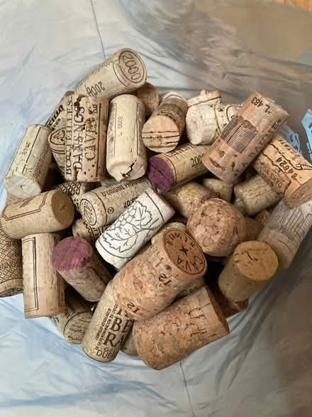 Photo of free Used champagne & wine corks (Blackford EH9) #2