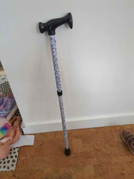 Photo of free Folding walking stick/cane (SE21) #1
