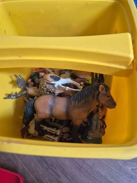 Photo of free Box of plastic animals (Bengeo SG14) #1