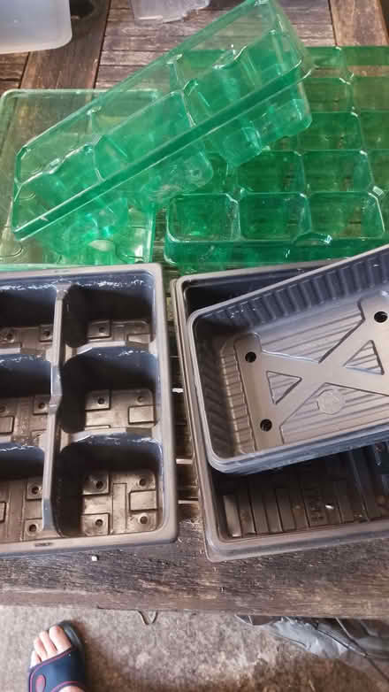 Photo of free seed trays (Frome BA11) #1