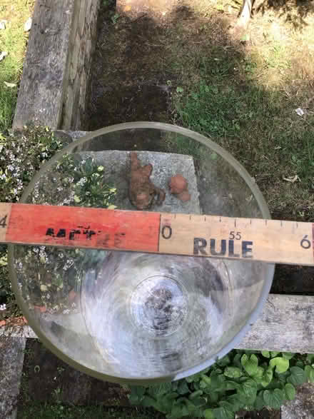 Photo of free Large glass tubular vase/container (Great Wakering Essex SS3) #3