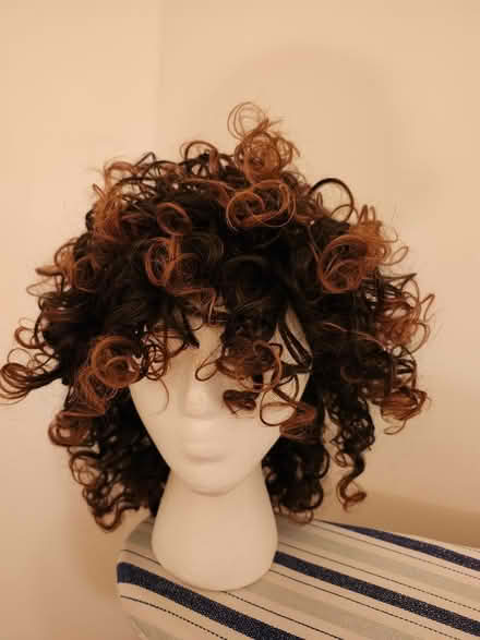 Photo of free brown wig w/ blonde highlights (SE Washington DC) #1
