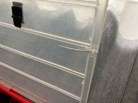 Photo of free Empty red compartment box (Glen parva LE2) #3