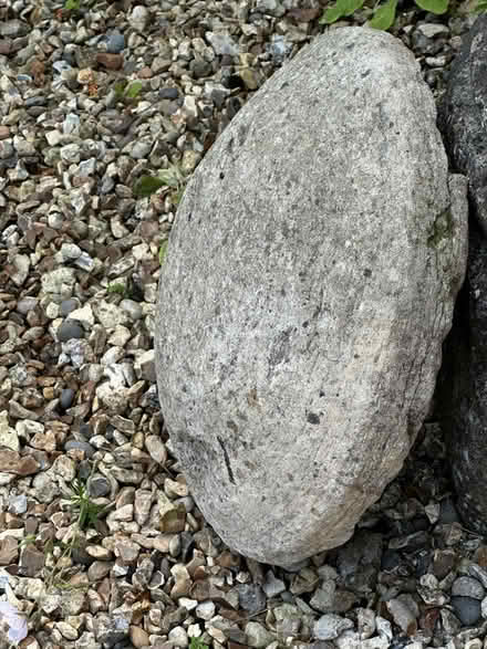 Photo of free Capstone (Kidlington OX5) #2