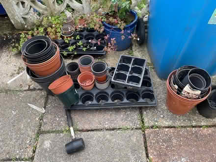 Photo of free Flower pots and trays (Parkstone BH12) #1