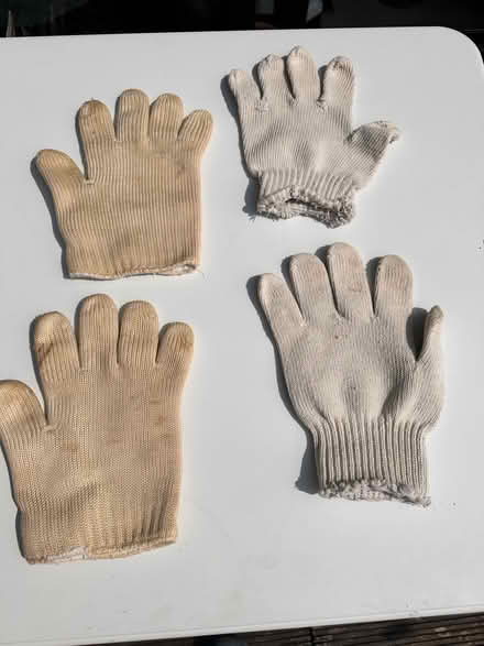 Photo of free 2 x pairs of oven gloves (Colchester CO4) #1