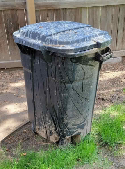 Photo of free 30 gallon plastic trash can (Near Mississippi and Dayton) #1