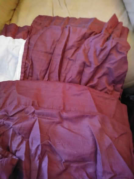 Photo of free Burgundy Curtains (Tacoma) #2
