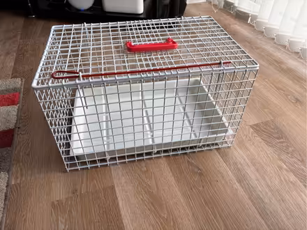 Photo of free Cat carrier - very secure. (Spital CH63) #1